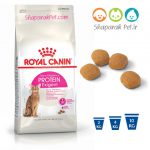 غذای خشک گربه رویال کنین پروتئین اکسیجنت