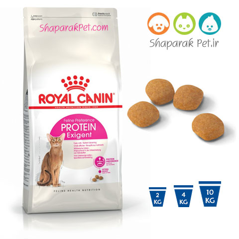 غذای خشک گربه رویال کنین پروتئین اکسیجنت