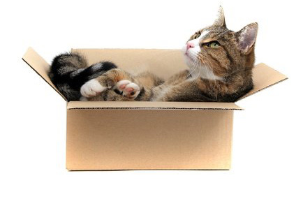 cat-sleep-box تخت خواب گربه