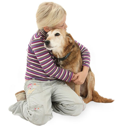 hug-pet پت شاپ شاپرک