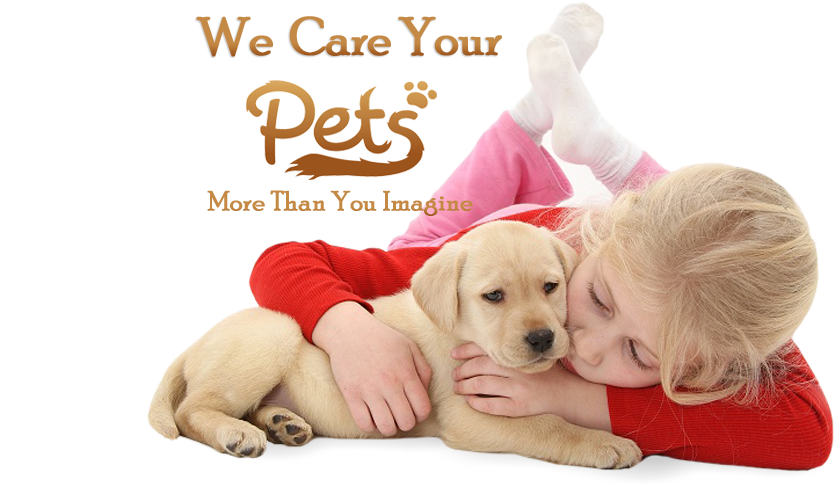 love-pet-text we care your pets
