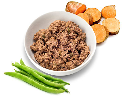 purina-beyond-dog-wet-food کنسرو سگ