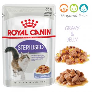 پوچ گربه بالغ عقیم شده رویال کنین