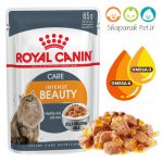 پوچ گربه رویال کنین (سلامت پوست و مو)