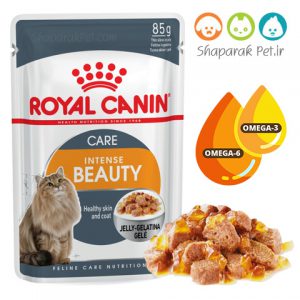 پوچ گربه رویال کنین (سلامت پوست و مو)