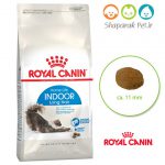 غذای گربه داخل خانه رویال  پرشین مو بلند