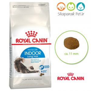 غذای گربه داخل خانه رویال  پرشین مو بلند