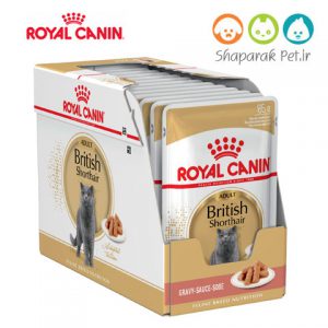 پوچ گربه رویال کنین