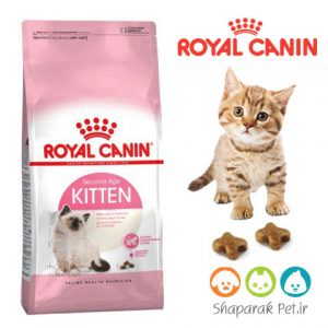 غذای بچه گربه رویال کنین
