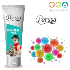 خمیر مینرال گربه پرسا