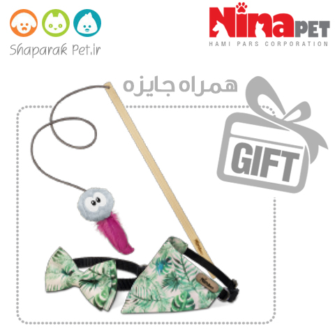 nina-pet-gift-pack-green