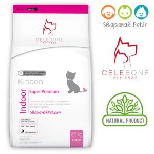 غذای بچه گربه سلبن