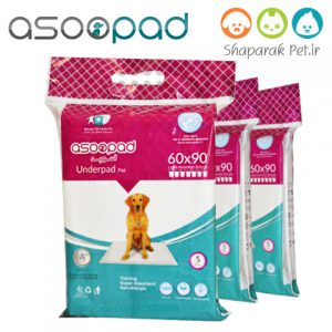 پد آموزشی و تعلیم ادرار سگ (آسوپد)