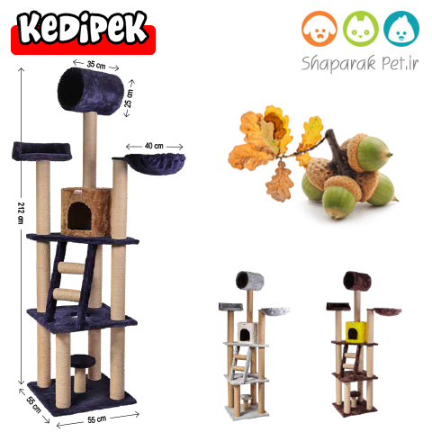 اسکرچر مدل بلوط کدی پک