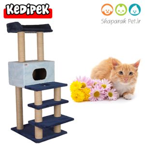 اسکرچر مدل نارنج کدی پک