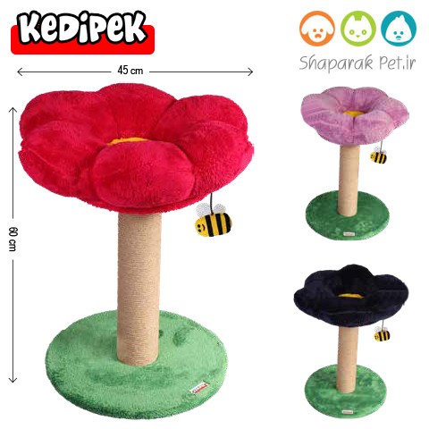 اسکرچر پامچال کدی پک