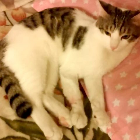 دست آسیب دیده