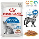 پوچ گربه بالغ داخل خانه رویال کنین