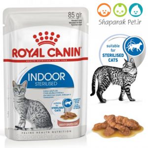 پوچ گربه بالغ داخل خانه رویال کنین