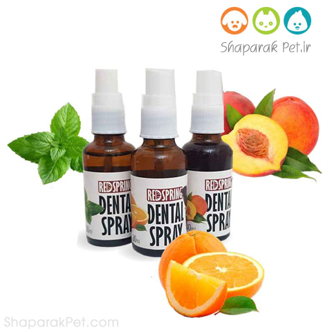 اسپری نانو دنتال رد اسپرینگ
