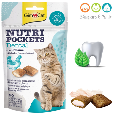 دنتال جیم کت