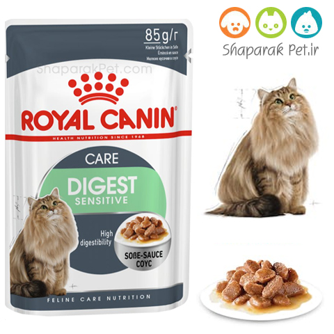 پوچ گربه رویال کنین دایجستیو گوارش حساس