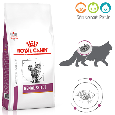 غذای گربه رویال کنین رنال سلکت (کلیوی)