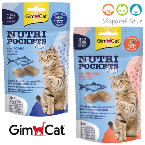 تشویقی مغزدار گربه جیم کت