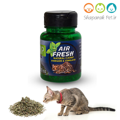 پودر کت نیپ Fresh