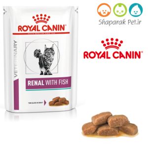 پوچ رنال گربه رویال کنین کلیوی