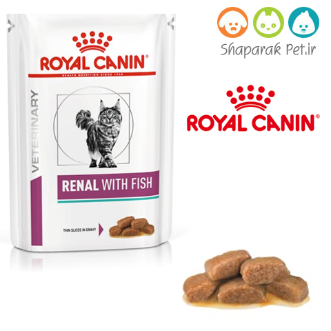 پوچ رنال گربه رویال کنین کلیوی