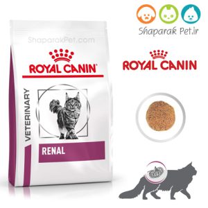 غذای رنال گربه رویال کنین  کلیوی طعم ماهی