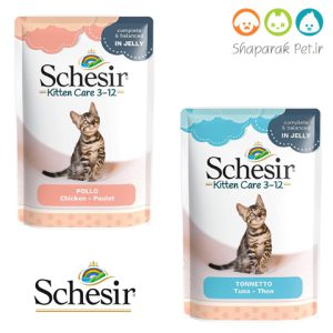 پوچ بچه گربه شسیر