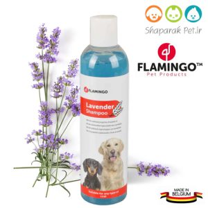 شامپو سگ فلامینگو اسطوخودوس