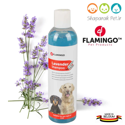 شامپو سگ فلامینگو اسطوخودوس
