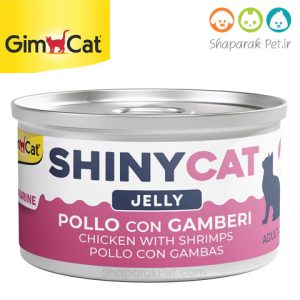 shinycat-2