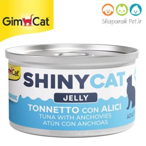 shinycat-8