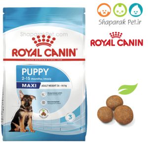 غذای توله سگ نژاد بزرگ رویال