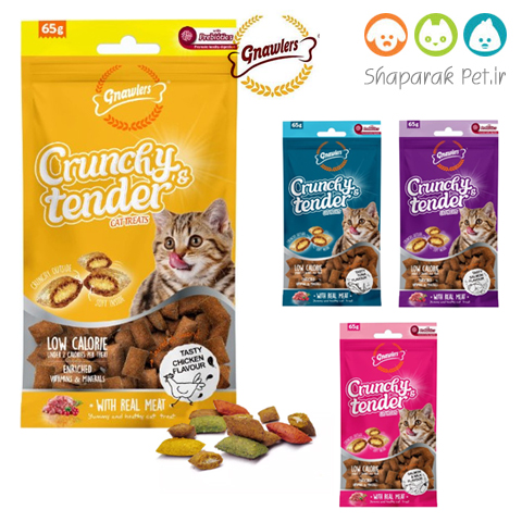 تشویقی مغزدار گربه دنتا لایت