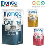 پوچ گربه عقیم شده مونژه ایتالیا