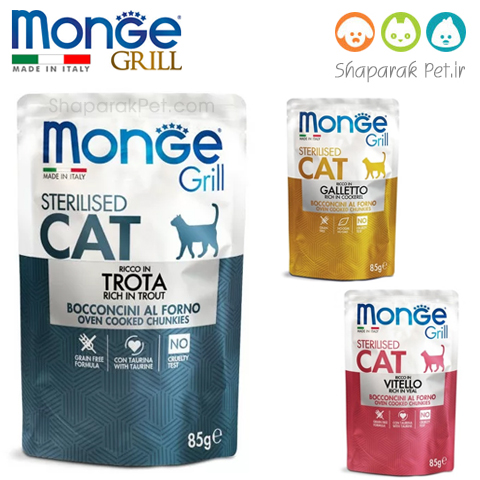 پوچ گربه عقیم شده مونژه ایتالیا