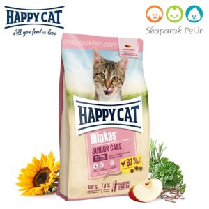 happy-cat-junior